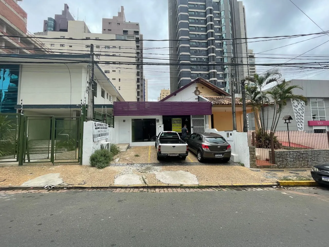 image from Sampainho 55